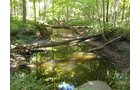 Property photo 2 - 75.5 Acres Offered in 5 Tracts